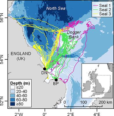 A Novel Approach to Using Seabed Geomorphology as a Predictor of Habitat Use in Highly Mobile Marine Predators: Implications for Ecology and Conservation